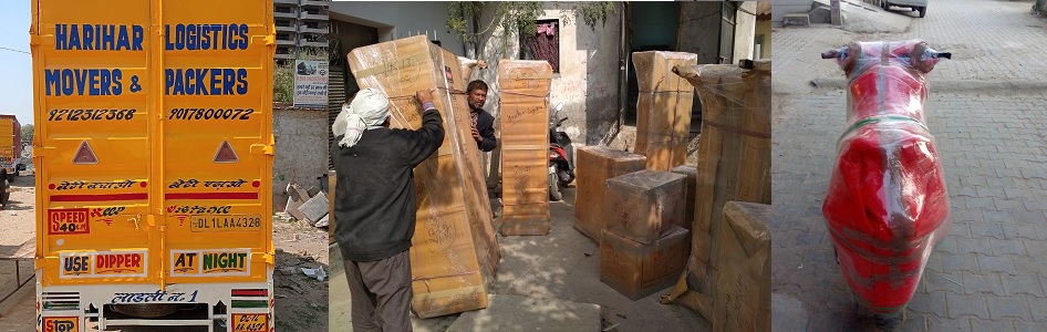 packers and movers Noida to Vadodara